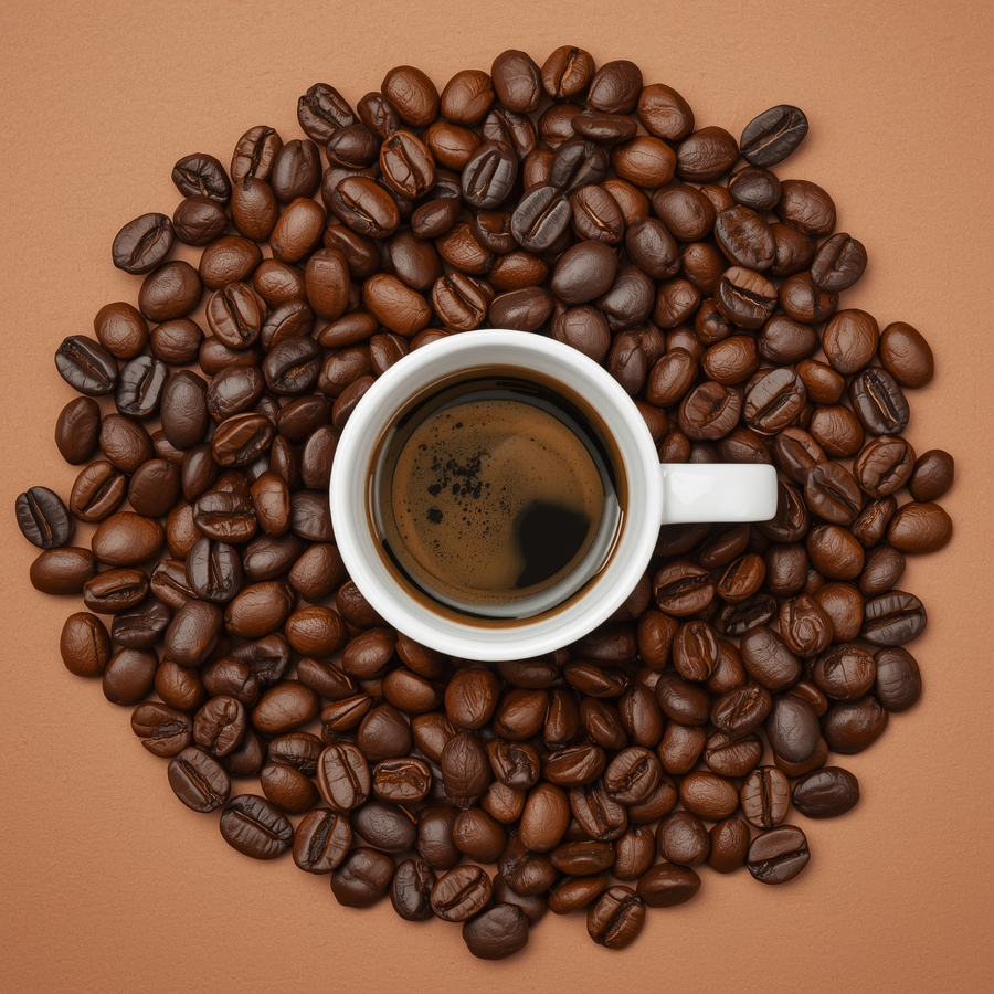 Fresh Coffee Beans