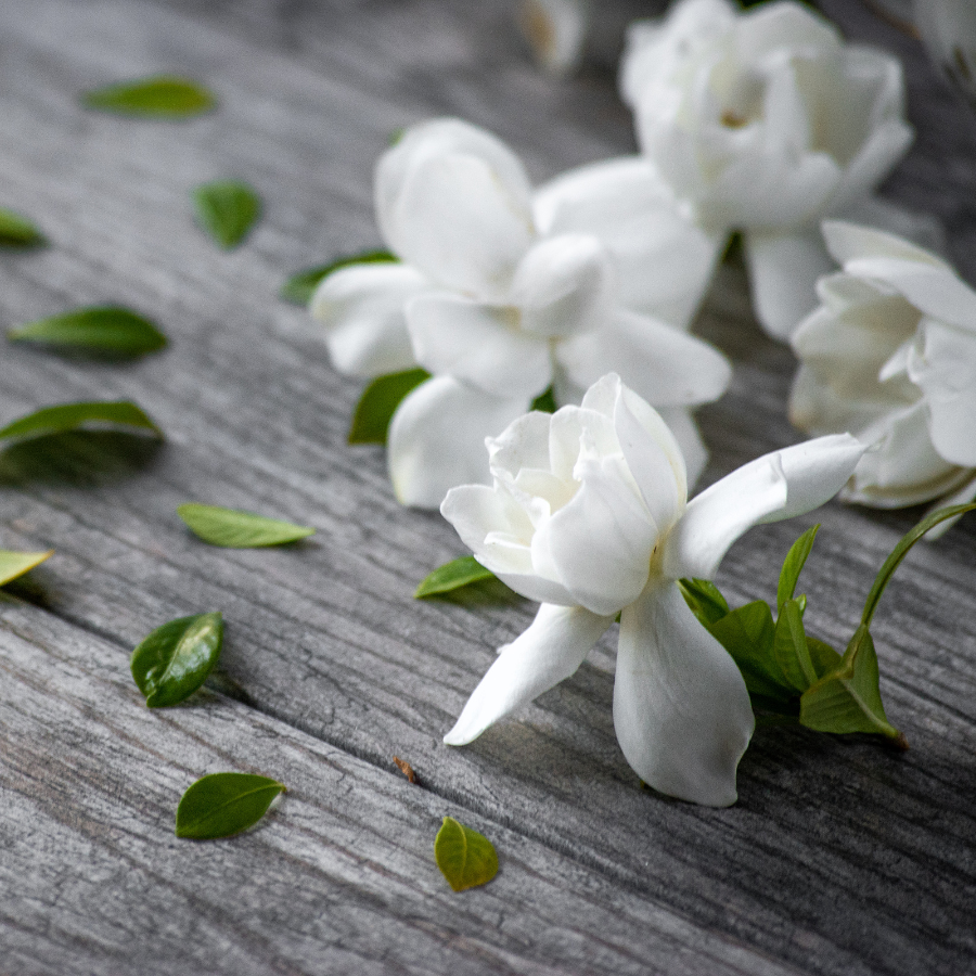 Gardenia + Tuberose